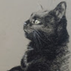 Meet your Posher, Rocky